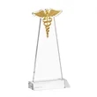 Caduceus Award - Clear | https://www.bestnamebadges.com