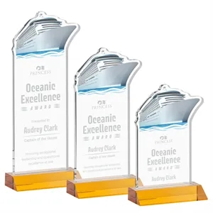 Voyager Award - Amber