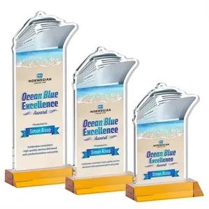Voyager VividPrint™ Award - Amber