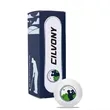 Custom Golf Ball With Sleeve And Dozen Box | https://www.bestnamebadges.com