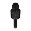 Perfect Pitch Karaoke Microphone | https://www.bestnamebadges.com