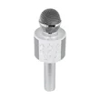 Perfect Pitch Karaoke Microphone | https://www.bestnamebadges.com