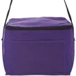 6 Pack Cooler Lunch Bags | https://www.bestnamebadges.com
