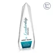 Cheswick VividPrint™ Award | https://www.bestnamebadges.com
