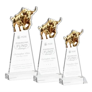 Raging Bull Award - Clear
