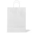 10 X 13 Inch Custom Twisted Handle Paper Shopping Bags | https://www.bestnamebadges.com
