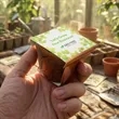 Coco Planter Kit | https://www.bestnamebadges.com