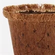 Coco Planter Kit | https://www.bestnamebadges.com
