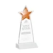 Starlite Award - White | https://www.bestnamebadges.com