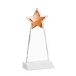 Starlite Award - White | https://www.bestnamebadges.com