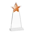 Starlite Award - White | https://www.bestnamebadges.com