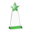 Starlite Award - Green | https://www.bestnamebadges.com