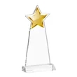 Starlite Award - Clear | https://www.bestnamebadges.com