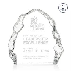 Houston Iceberg Award