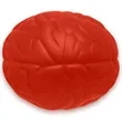 Custom Brain Stress Balls | https://www.bestnamebadges.com