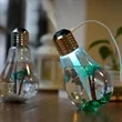 Bulb Humidifier with LED Light for Desk | https://www.bestnamebadges.com