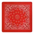 Cotton Material Square Bandana | https://www.bestnamebadges.com