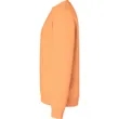 Port & Company - Core Fleece Crewneck Sweatshirt. | https://www.bestnamebadges.com