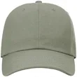Richardson Sustainable Ashland Dad Hat - 254RE | https://www.bestnamebadges.com