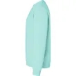 Comfort Colors Lightweight Crewneck Sweatshirt | https://www.bestnamebadges.com