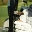 Multi-Function Golf Tool with Cigar Holder and Bottle Opener | https://www.bestnamebadges.com