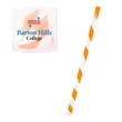 Joplin Straw In Case | https://www.bestnamebadges.com