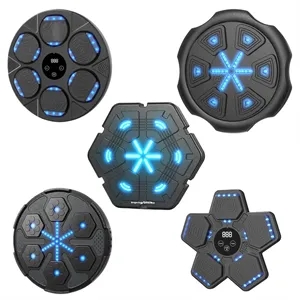 Smart LED Music Boxing Machine Wall Target Fitness Trainer
