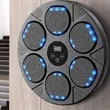 Smart LED Music Boxing Machine Wall Target Fitness Trainer | https://www.bestnamebadges.com