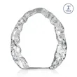 Naughton Iceberg Award | https://www.bestnamebadges.com