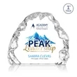 Spence Iceberg Award | https://www.bestnamebadges.com