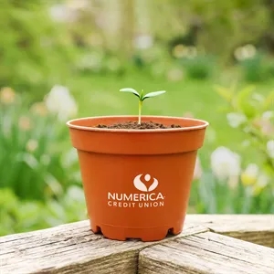 Terra Cotta Planter Kits