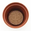 Terra Cotta Planter Kits | https://www.bestnamebadges.com