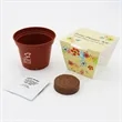 Terra Cotta Planter Kits | https://www.bestnamebadges.com
