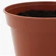 Terra Cotta Planter Kits | https://www.bestnamebadges.com