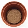 Terra Cotta Planter Kits | https://www.bestnamebadges.com