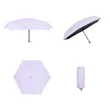 41" Arc Portable Mini 5 Fold Capsule Umbrella With Pouch | https://www.bestnamebadges.com