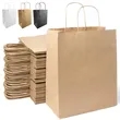Kraft Paper Shopping Bag with Twisted Handles | https://www.bestnamebadges.com