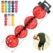 Outdoor Pickleball In Storage Tube | https://www.bestnamebadges.com