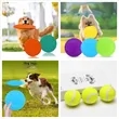 Dog flying disc toy | https://www.bestnamebadges.com