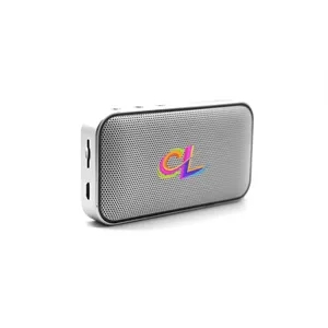 Portable Bluetooth Speakers