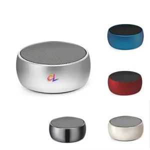 Portable Bluetooth Speakers