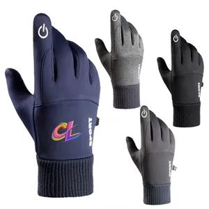 Winter Gloves