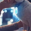 Outdoor LED Safety Alarm Light with 3-Color Flash | https://www.bestnamebadges.com