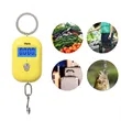 Mini Digital Luggage Scale 25kg with LCD Display | https://www.bestnamebadges.com