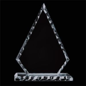 Conquest Award