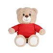 Chester the Teddy Bear (with T-Shirt) | https://www.bestnamebadges.com