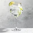 Tucson Gold Rim Gin & Tonic - Deep Etch | https://www.bestnamebadges.com