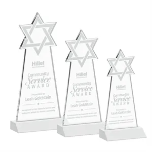 Star of David Award - White