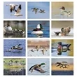 Good Value™ Waterfowl - Spiral Calendar | https://www.bestnamebadges.com