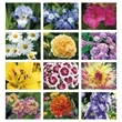 Good Value™ Flowers - Spiral Calendar | https://www.bestnamebadges.com